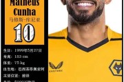 开云平台-狼堡球员获选当地年度最佳，展现球队实力