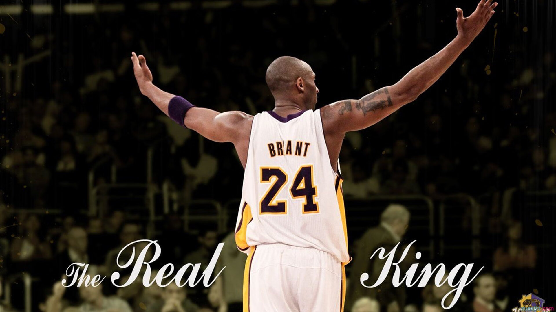 布克星火燎原之夜,当孤胆英雄遇上团队利刃,鹈鹕以决胜局刀锋带走开拓者