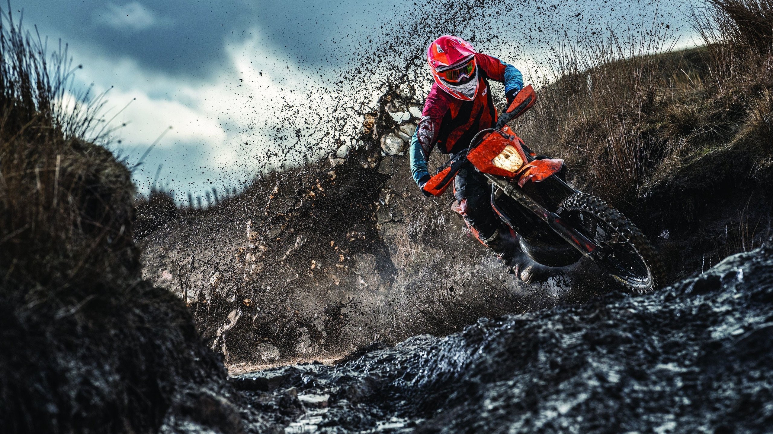 东决夜,磐石醒,阿劳霍的无声轰鸣